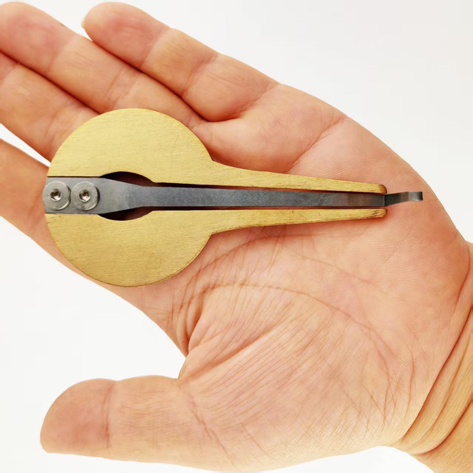 Musical Instrument Harp - 初心者向けユダヤハープ、金属製の口吹き楽器、簡単な学習と伝統的な音楽演奏に最適