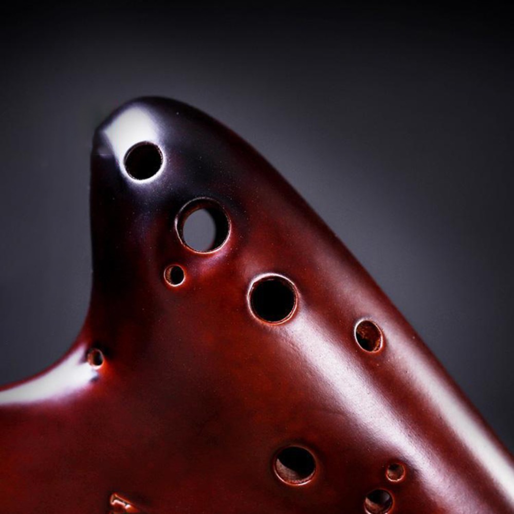 子供のためのプロのセラミックフルオロカーボンinas,alt - Musical Instrument Project のレビューと価格